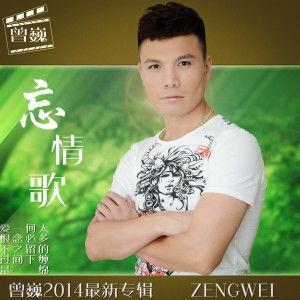 忘情歌,旋律中的情感释放与心灵疗愈之旅