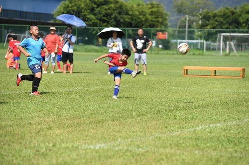 绿茵场外,探寻足球背后的故事与情感