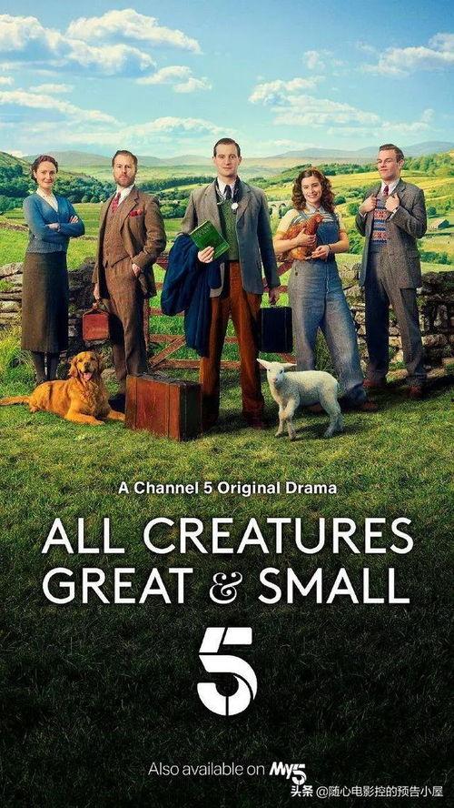 万物生灵 第二季,探寻自然奥秘，共赴生命之旅