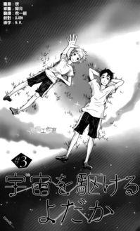 翱翔于天际的夜鹰,探寻天空中的神秘猎手